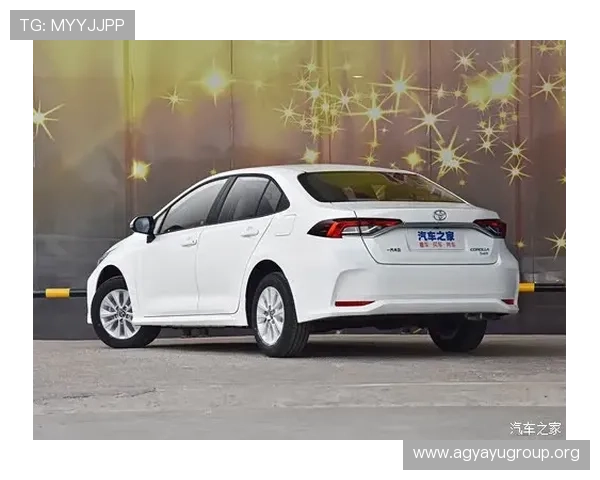 凯发旗舰厅登录线路安全策略,保障玩家账号信息安全无忧 凯发旗舰厅登录线路安全策略,保障玩家账号信息安全无忧