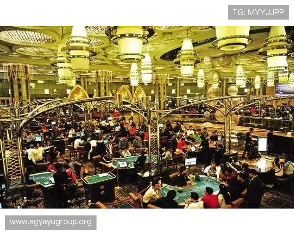 真人澳门娱乐体验全攻略，带你领略澳门最真实的博彩乐趣与高端娱乐享受