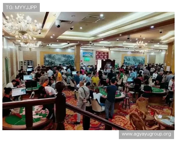 腾龙真人娱乐平台提供多样化的真人游戏选择与优质服务体验